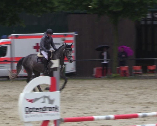 Reitturnier Grefrath - Reitanlage Heitzerend 2024