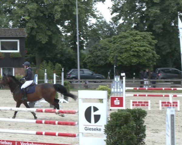 Reitturnier Münster-Roxel 2024