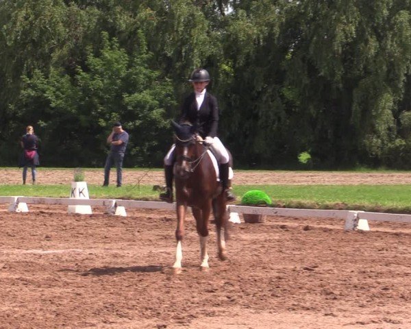 Reitturnier Prussendorf 2024