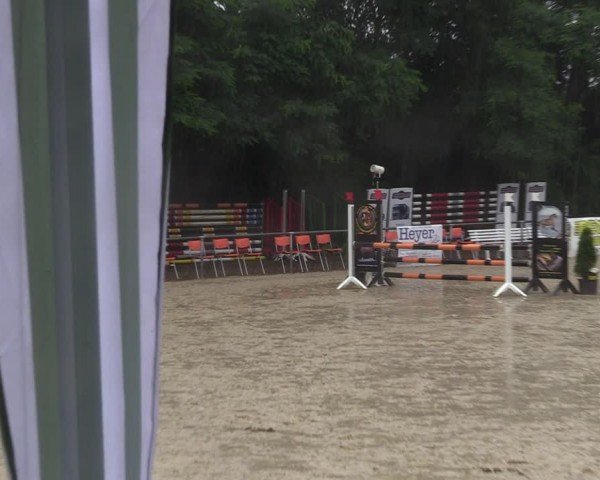 Reitturnier Grefrath - Reitanlage Heitzerend 2024