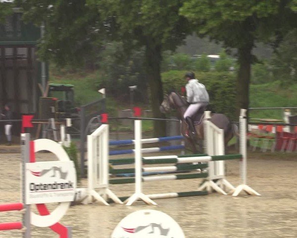 Reitturnier Grefrath - Reitanlage Heitzerend 2024