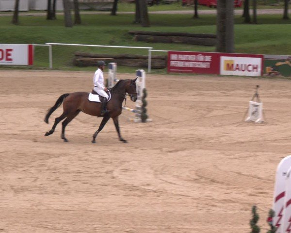 Reitturnier Stadl-Paura 2024
