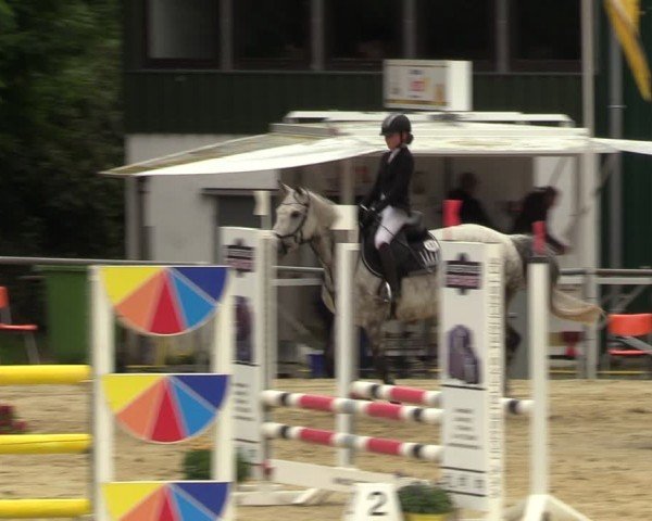 Reitturnier Grefrath - Reitanlage Heitzerend 2024