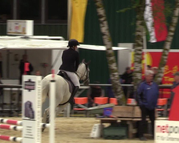 Reitturnier Grefrath - Reitanlage Heitzerend 2024