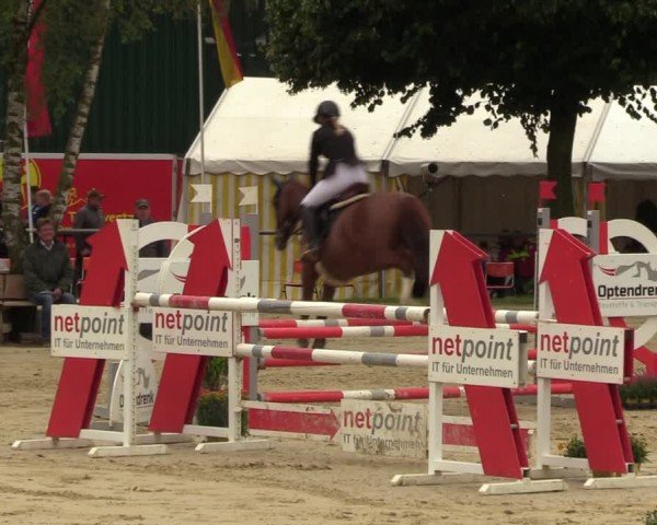 Reitturnier Grefrath - Reitanlage Heitzerend 2024