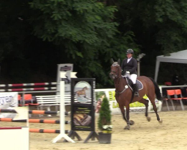 Reitturnier Grefrath - Reitanlage Heitzerend 2024