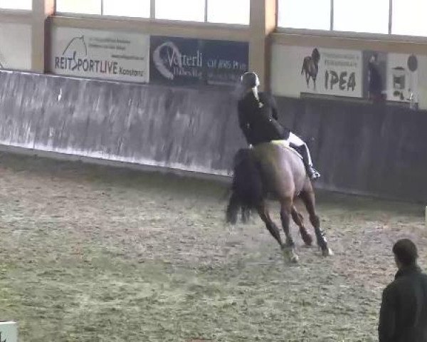 Late Entry Sauldorf-Boll 09.03.2013