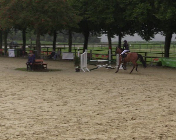 Reitturnier Grefrath - Reitanlage Heitzerend 2024