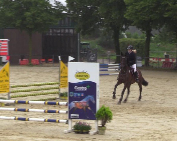 Reitturnier Grefrath - Reitanlage Heitzerend 2024