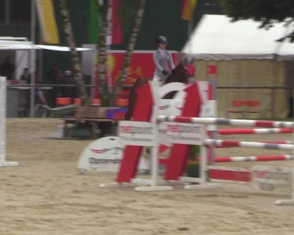 Reitturnier Grefrath - Reitanlage Heitzerend 2024