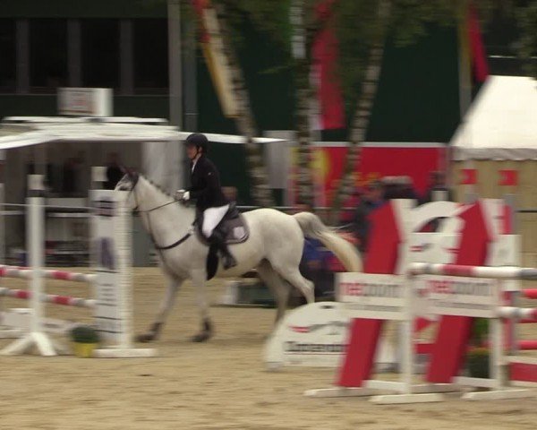 Reitturnier Grefrath - Reitanlage Heitzerend 2024