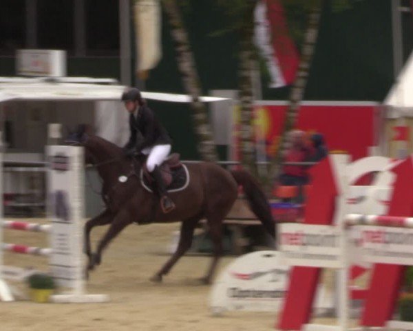 Reitturnier Grefrath - Reitanlage Heitzerend 2024