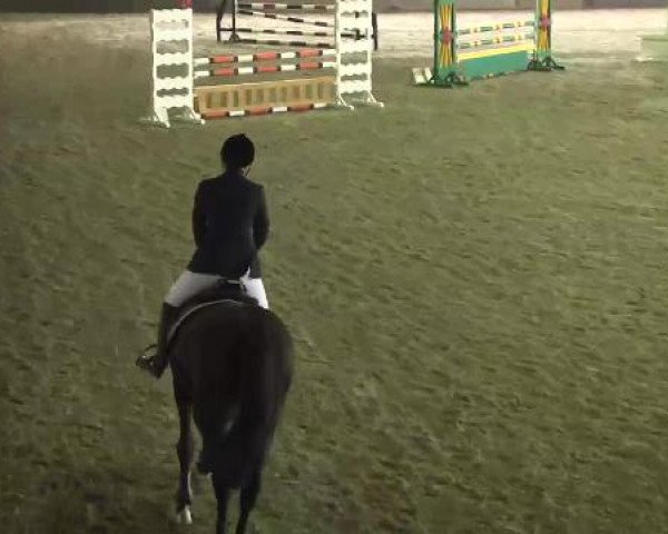 Reitturnier Sauldorf-Boll 09.03.2013