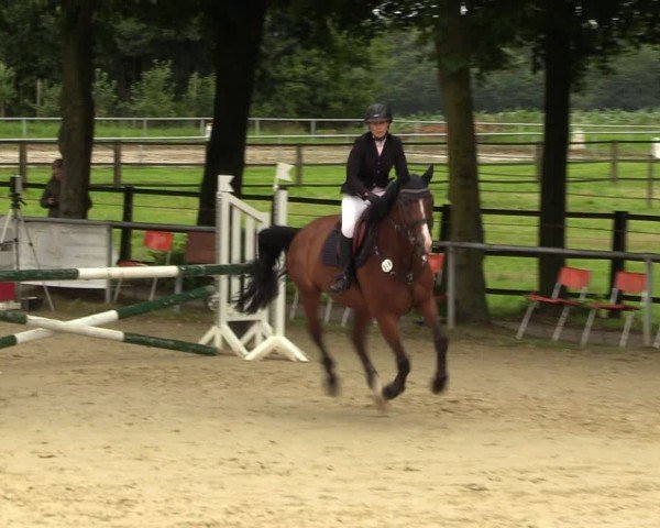 Reitturnier Grefrath - Reitanlage Heitzerend 2024