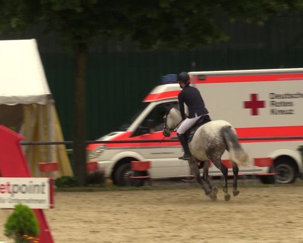 Reitturnier Grefrath - Reitanlage Heitzerend 2024