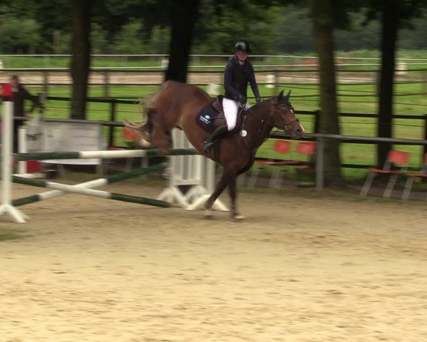 Reitturnier Grefrath - Reitanlage Heitzerend 2024
