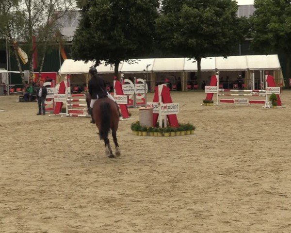 Reitturnier Grefrath - Reitanlage Heitzerend 2024
