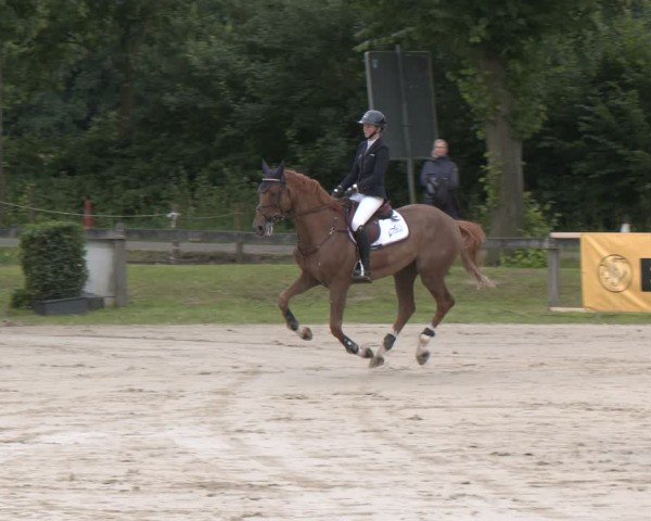 Reitturnier Münster-Roxel 2024
