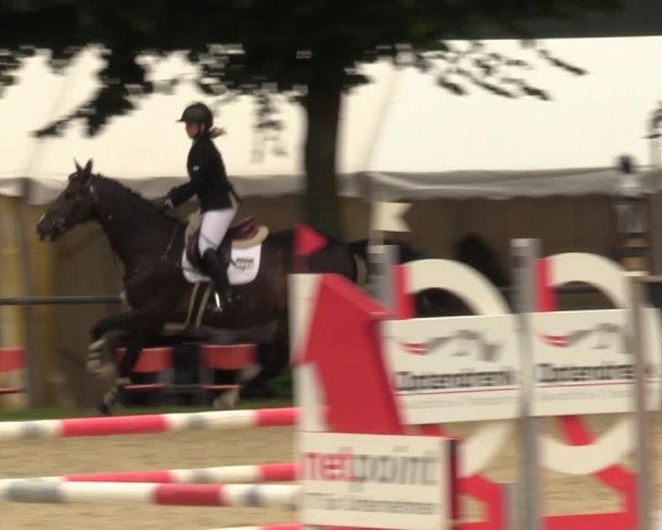 Reitturnier Grefrath - Reitanlage Heitzerend 2024