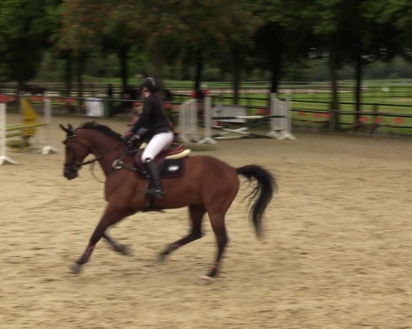 Reitturnier Grefrath - Reitanlage Heitzerend 2024