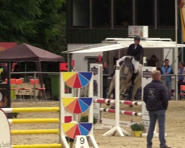 Reitturnier Grefrath - Reitanlage Heitzerend 2024