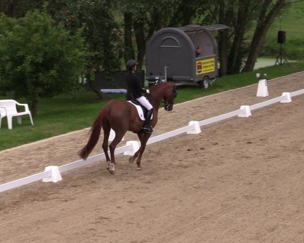 Reitturnier Neu Benthen 2024