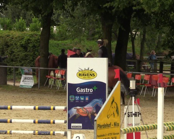 Reitturnier Grefrath - Reitanlage Heitzerend 2024