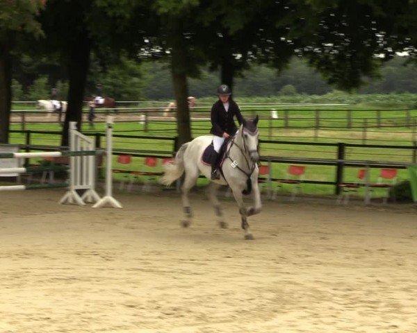 Reitturnier Grefrath - Reitanlage Heitzerend 2024