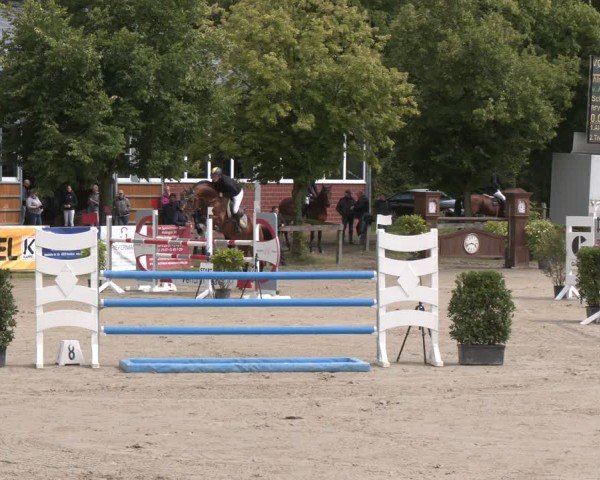 Reitturnier Münster-Roxel 2024