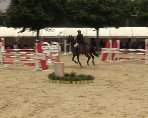 Reitturnier Grefrath - Reitanlage Heitzerend 2024