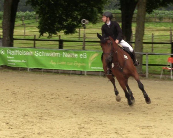 Reitturnier Grefrath - Reitanlage Heitzerend 2024