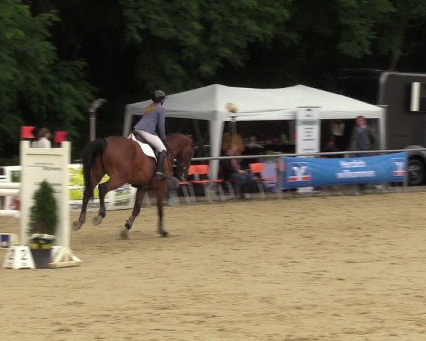 Reitturnier Grefrath - Reitanlage Heitzerend 2024