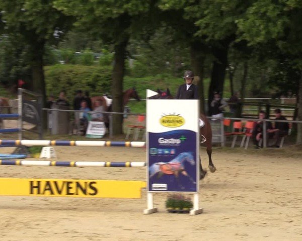 Reitturnier Grefrath - Reitanlage Heitzerend 2024