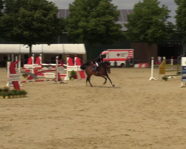 Reitturnier Grefrath - Reitanlage Heitzerend 2024