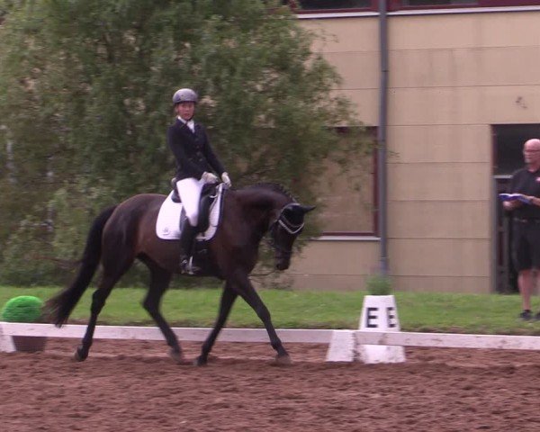 Reitturnier Prussendorf 2024