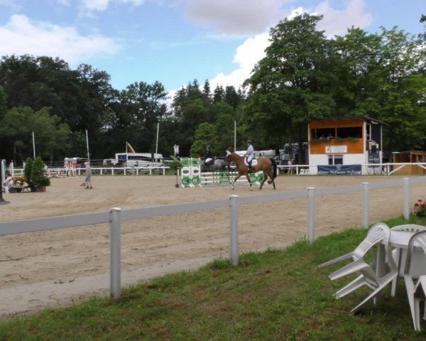 Reitturnier Hünfelden-Kirberg 2024