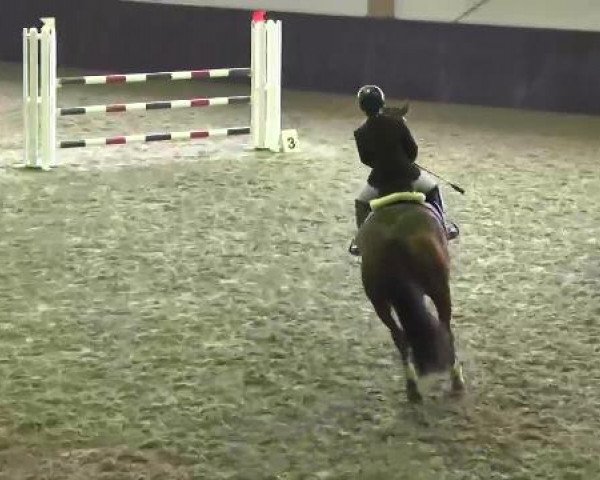 Late Entry Sauldorf-Boll 09.03.2013