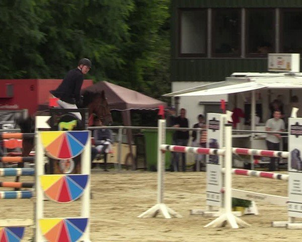 Reitturnier Grefrath - Reitanlage Heitzerend 2024