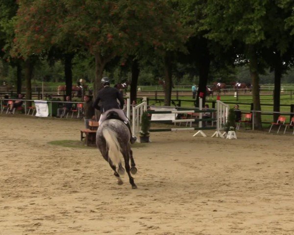 Reitturnier Grefrath - Reitanlage Heitzerend 2024