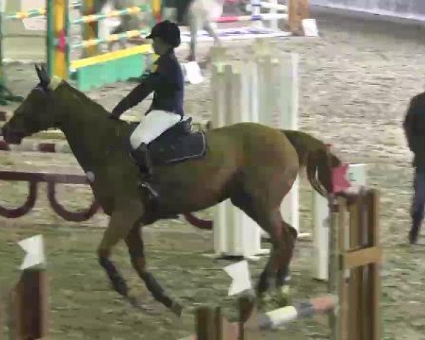 Late Entry Sauldorf-Boll 09.03.2013