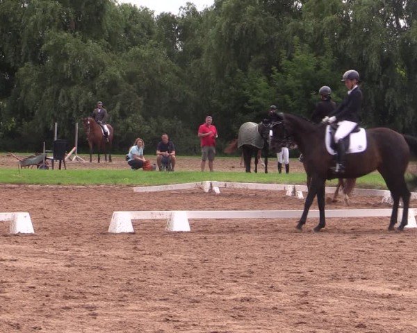Reitturnier Prussendorf 2024