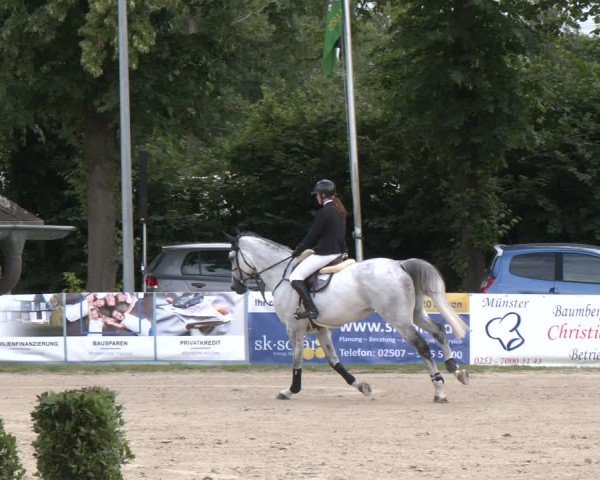 Reitturnier Münster-Roxel 2024