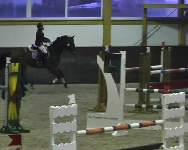 Late Entry Sauldorf-Boll 09.03.2013
