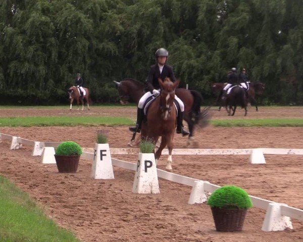 Reitturnier Prussendorf 2024