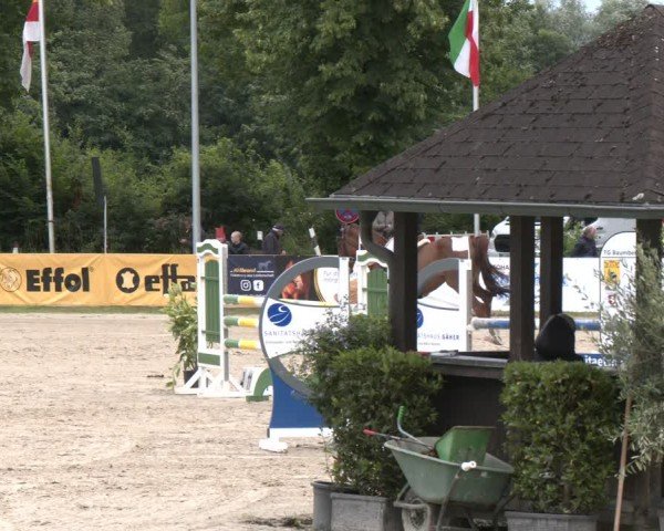 Reitturnier Münster-Roxel 2024