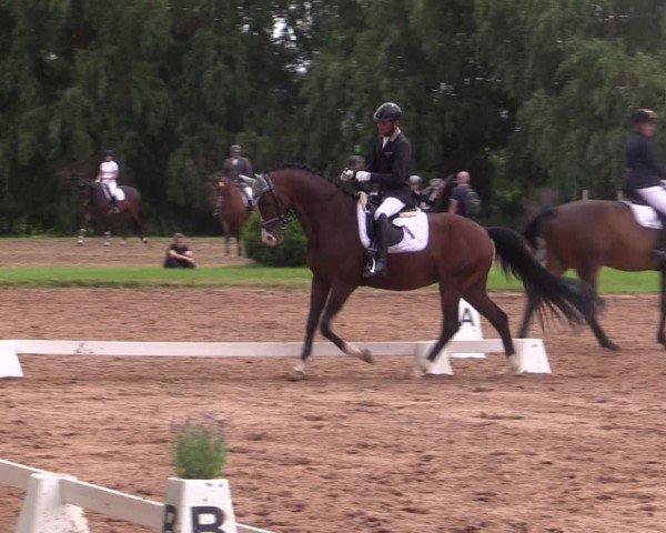 Reitturnier Prussendorf 2024