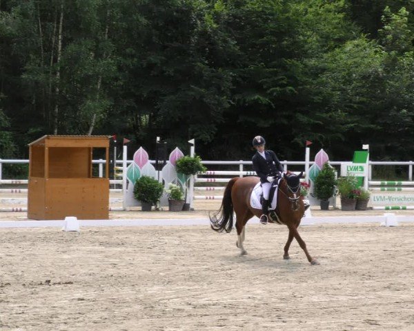 Reitturnier Hünfelden-Kirberg 2024