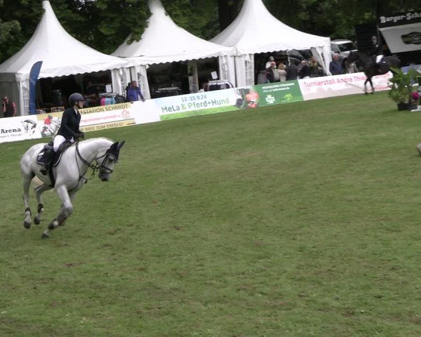 Reitturnier Neu Benthen 2024