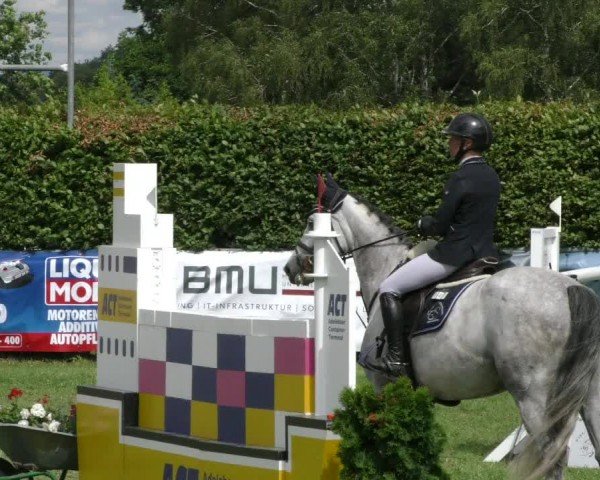 Reitturnier Moringen 2024