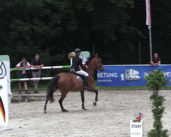 Reitturnier Prussendorf 2024